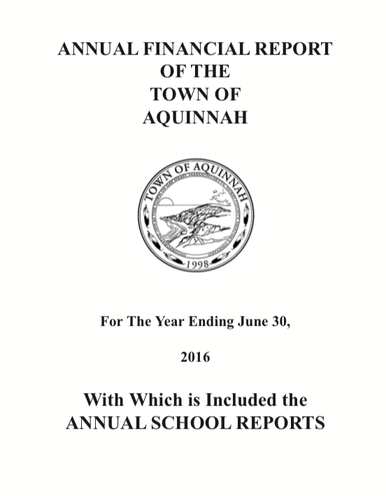 Cover of Annual Report